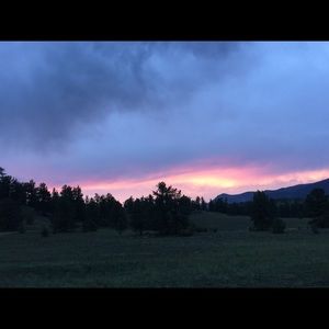 Meet your Posher, Mackenzie